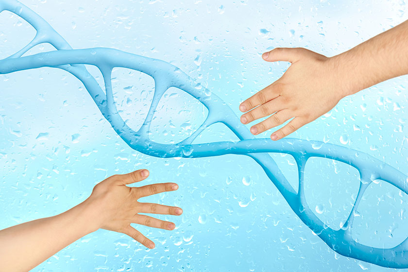 Two hands, dna structure helix, deoxyribonucleic acid